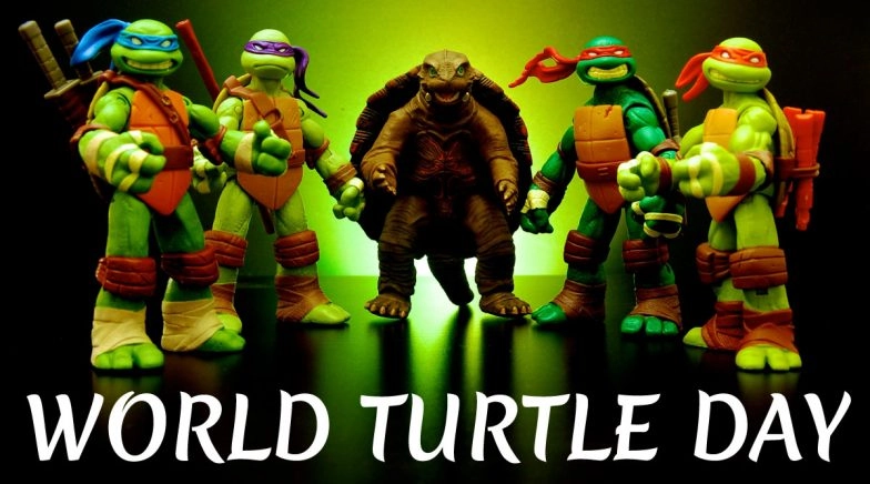 World Turtle Day 2020: From Baby Shelby to Squirtle, Popular Turtle Characters 
