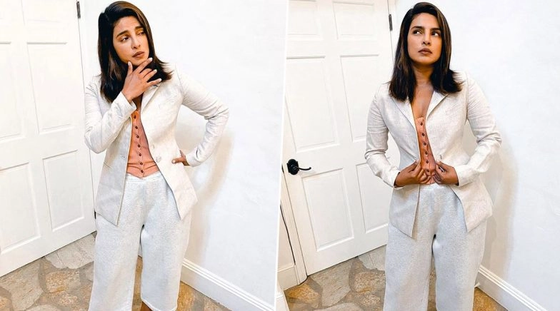 Priyanka Chopra Gives Us Peek At Her 'Zoom Meeting Look' and It's Perfect! 