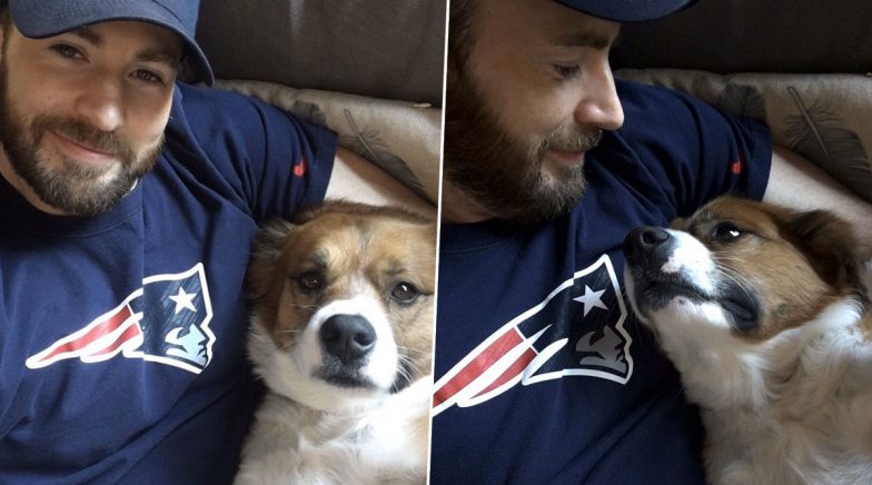 Chris Evans Regrets Giving Haircut to His Pet Dog Dodger