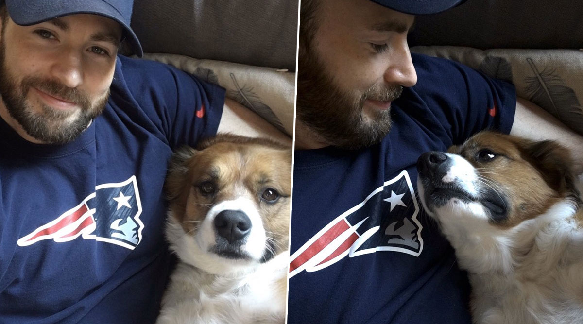 Chris Evans Says His Pet Dodger Is a Cut Above the Average Dog