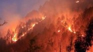 Uttarakhand Forest Fires Continue to Rage for 4th Consecutive Day, Kumaon Region Worst-Hit: Here Are 5 Latest Updates
