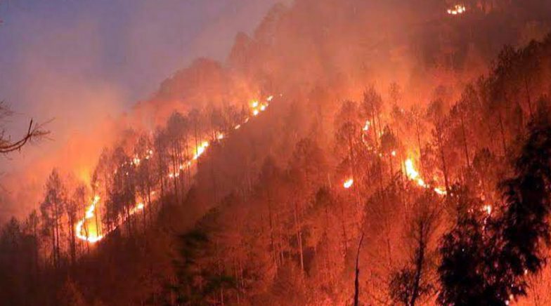 Uttarakhand Forest Fires Continue to Rage, Kumaon Region Worst-Hit: Here Are 5 Latest Updates