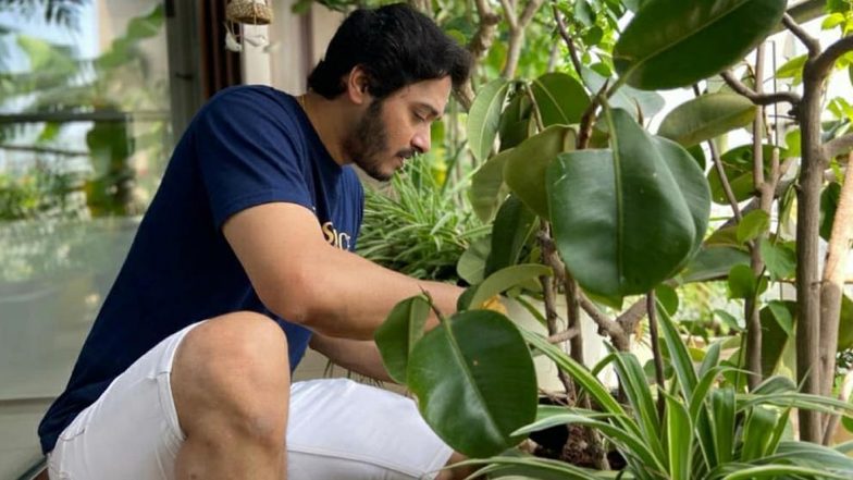 Shreyas Talpade Speaks Up About His Upcoming Teleplay That Has a Strong Social Message
