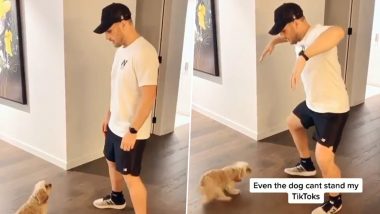 Aaron Finch Trolls Himself in His Latest TikTok Video, David Warner ‘Loved’ His Opening Partner’s Antics