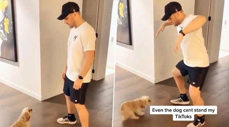 Aaron Finch Trolls Himself in His Latest TikTok Video, David Warner ‘Loved’ 