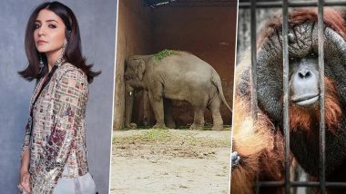 Anushka Sharma’s Latest Plea Highlights the Plight of the Voiceless Caged Animals Who Have Been Quarantined Forever (View Post)