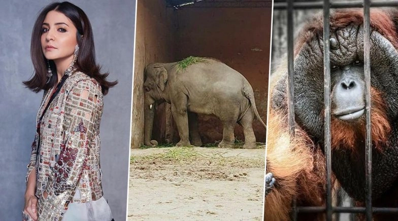 Anushka's Latest Plea Highlights the Plight of the Voiceless Caged Animals