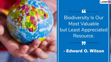 International Day for Biological Diversity 2020 Quotes and HD Images: Beautiful Sayings on Nature That Respects Biodiversity and Its Importance