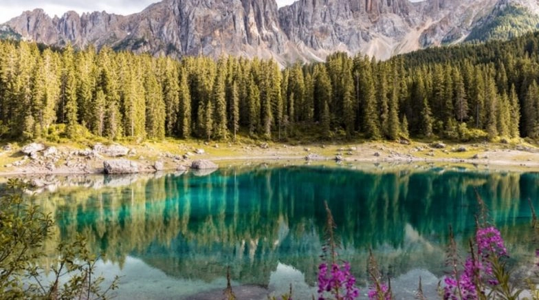 International Day for Biological Diversity 2020: Know Types & Importance of Biological Diversity