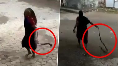 Badass Dadi! Grandma Casually Drags a Cobra and Hurls it Away (Snake Video Goes Viral)