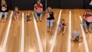 David Warner, Wife Candice and Daughters Engage in Unique Home &lsquo;Car Race&rsquo; in Latest TikTok Video