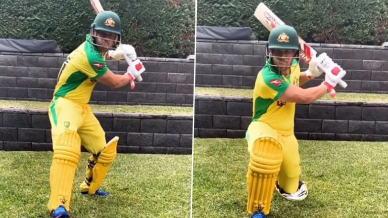David Warner Raring to Get Back Onto the Cricket Field, Says ‘Sick of Shadow Batting in the Backyard’ (Watch TikTok Video)