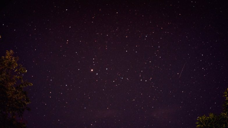ETA Aquarids Meteor Shower 2020 Photos: Halley’s Comet Leaves a Beautiful Trail in the Dark Night Sky