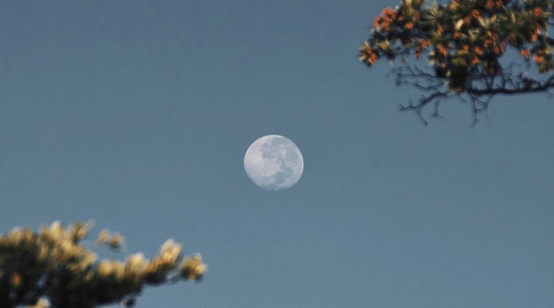 Moon Sighting in Australia Live News Updates: Will Aussie Muslims Celebrate Eid-al-Fitr Tomorrow?