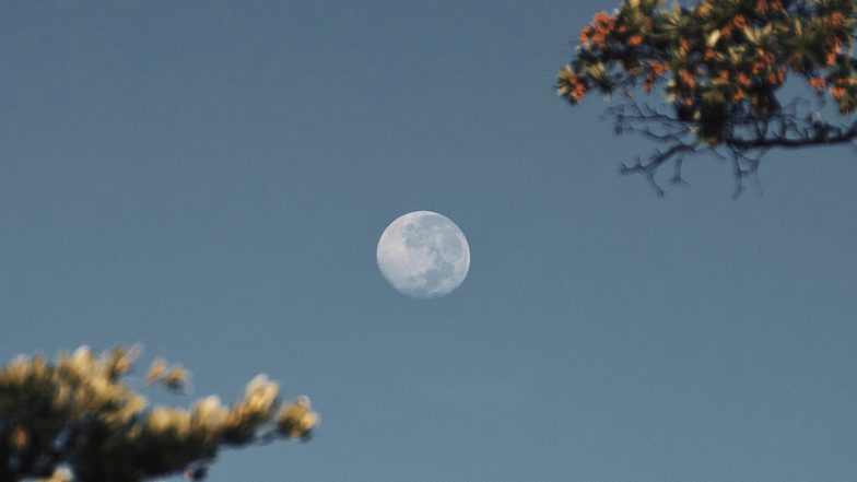 Super Flower Full Moon 2020 Date and Time: Everything You Need to Know About the Final Supermoon of This Year