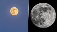 Super Flower Moon 2020 Photos: Netizens Share Stunning Pics of The Last Supermoon of This Year