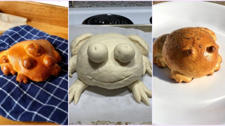 Frog Bread is Latest Food Trend on TikTok! People Bake Bread Loaves in Shape of Frogs and the Result is Unappetizing (Watch Pics and Viral Videos)