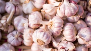 How to Grow Garlic at Home? From Planting to Harvesting, Here's a Complete Guide on Growing The Herb Indoors During Lockdown (Watch Video)