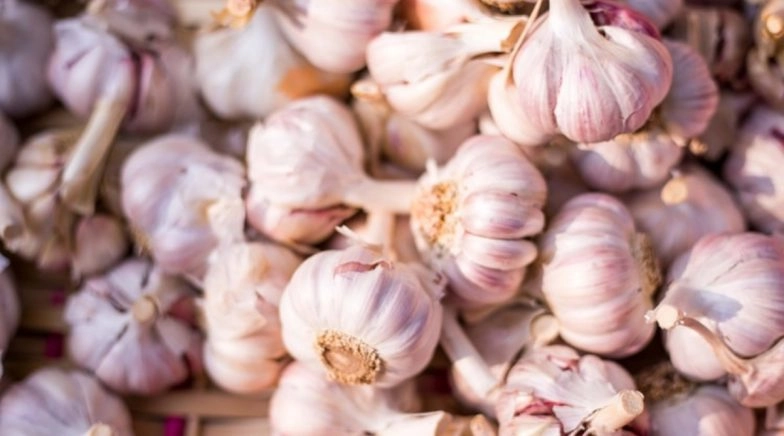 How to Grow Garlic at Home? A Complete Guide on Growing The Herb Indoors (Watch Video)