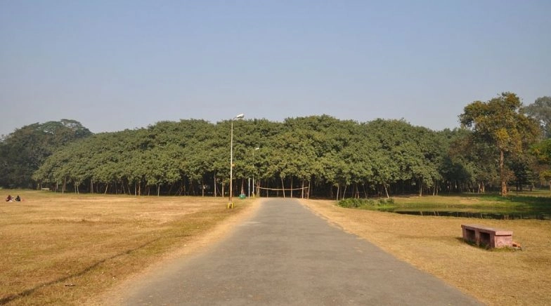 Cyclone Amphan Uproots 270-year-old Great Banyan Tree in Kolkata's Botanic Garden