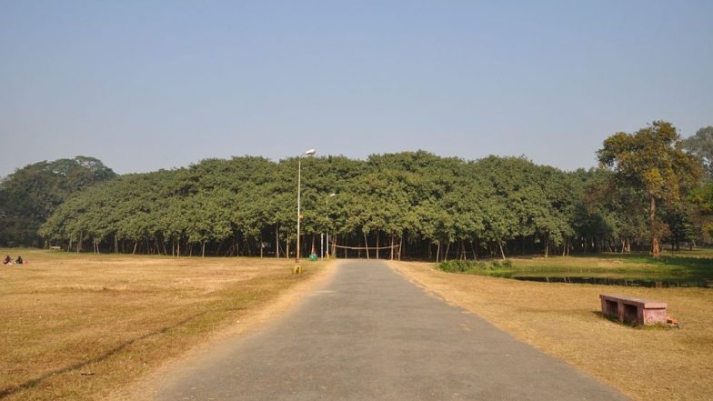 Cyclone Amphan Damages 270-year-old Great Banyan Tree in Kolkata's Botanic Garden (Watch Video)