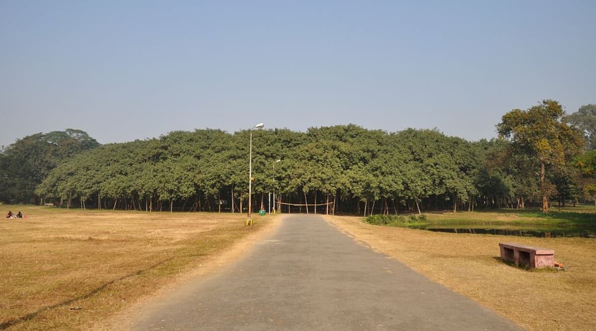 Cyclone Amphan Damages 270-year-old Great Banyan Tree in Kolkata's Botanic Garden (Watch Video) Cyclone Amphan Damages 270-year-old Great Banyan Tree in Kolkata's Botanic Garden (Watch Video)