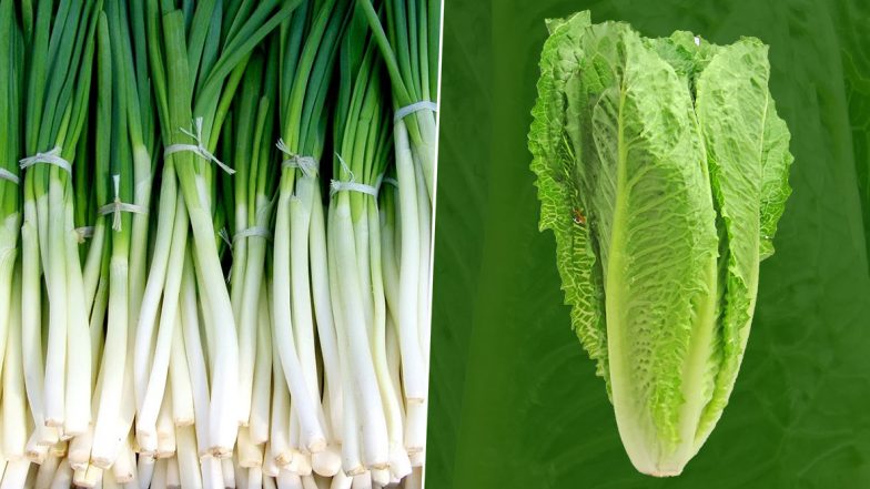 How to Grow Vegetables From Leftovers? From Green Onions to Lettuce, 5 Veggies And Herbs That Can be Grown at Home Easily (Watch Videos)