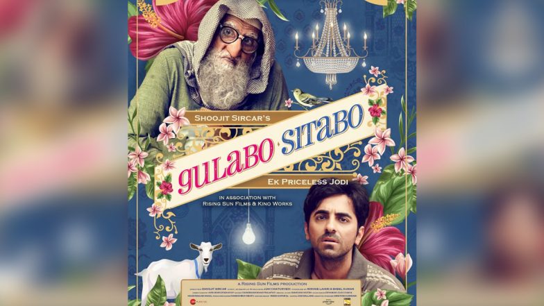 Gulabo Sitabo: Distributor Unhappy With Amitabh Bachchan-Ayushmann Khurrana's Film Releasing on Amazon Prime; Producer Defends Decision (Details INSIDE)