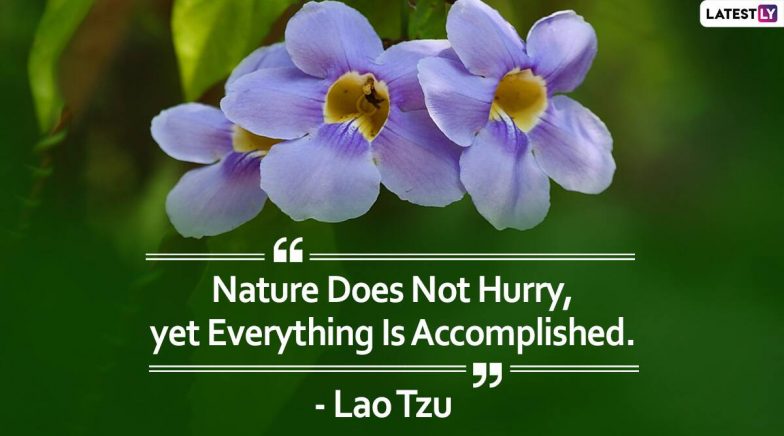 Happy Greenery Day 2020 HD Images And Wallpaper to Download Online ...