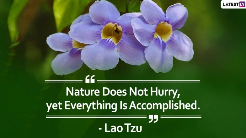 Happy Greenery Day 2020 HD Images And Wallpaper to Download Online: Beautiful Quotes And Messages to Send on the Day That Shows Gratitude to Nature