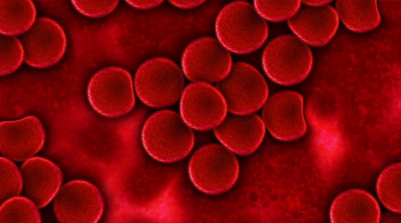 International Thalassemia Day 2020: Significance of Day That Creates Awareness About Blood Disorder
