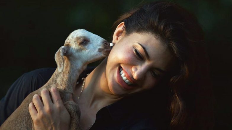 Jacqueline Fernandez to ‘Help Change Lives’ in Rural Maharashtra