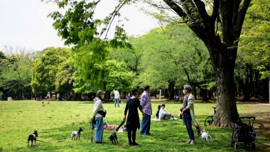 Japan to Reopen Parks, Museums, Libraries and Other Public Facilities After Nationwide State of Emergency Imposed Due to COVID-19