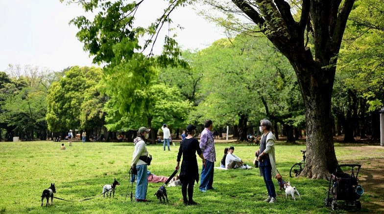 Japan to Reopen Parks, Museums, Libraries and Other Public Facilities After Nationwide State of Emergency Imposed Due to COVID-19