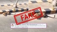 Fact Check: Leopard Spotted Near Sion Bridge or JVLR in Mumbai? Know Truth About This Viral Video Shared by Raveena Tandon