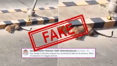 Fact Check: Leopard Spotted Near Sion Bridge or JVLR in Mumbai? Know Truth About This Viral Video Shared by Raveena Tandon