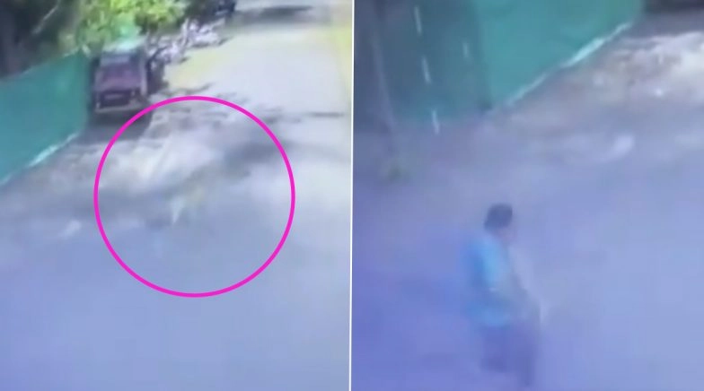 Leopard Attack in Nashik: Big Cat Injures Two People in Indira Nagar, Watch Shocking Video