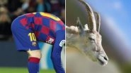 LaLiga Implies Lionel Messi is GOAT, Shares Incredible Photo