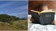 End of The World is Here? Bible Verses on 'Locusts and Plagues' Spark Fear of Nearing Apocalypse Among Social Media Users