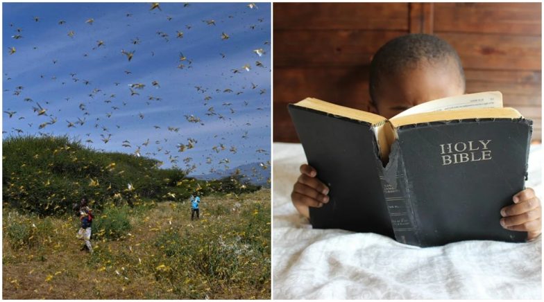 End of The World is Here? Bible Verses on 'Locusts and Epidemic' Spark Fear of Apocalypse