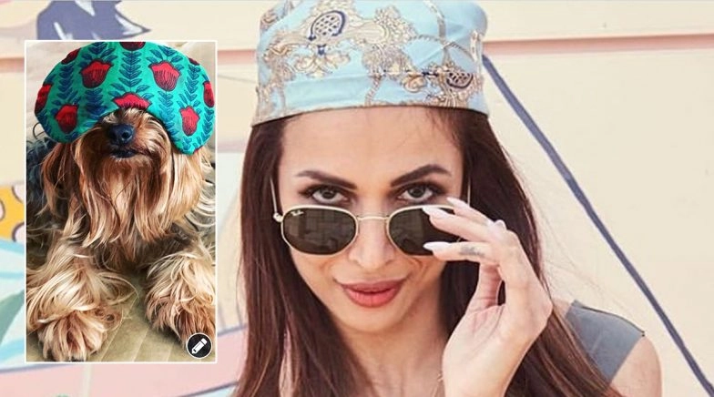 Malaika's Twinning Partner Is Giving Her A Tough Competition In This Headgear Affair 