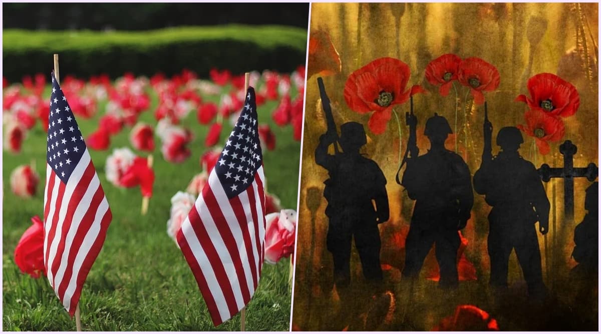 The Poppy Flower : A Memorial Day Remembrance and an Epidemic