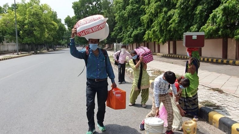 Chhattisgarh: Migrant Worker Dies of Snake Bite At Quarantine Centre in Rajnandgaon District