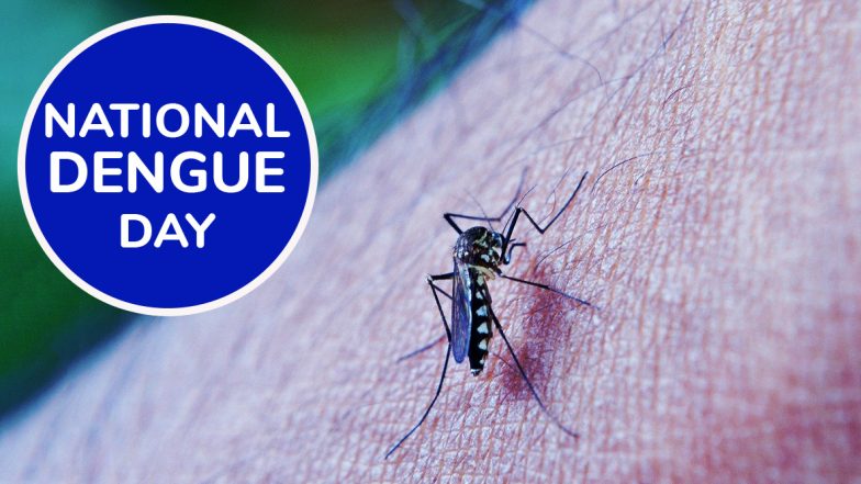 National Dengue Day 2020: From Getting Rid of Stagnant Water to Using Repellent Creams, Precautionary Measures to Keep Mosquitoes at Bay
