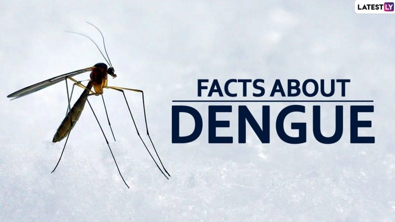 National Dengue Day 2020: Facts About the Viral Disease Caused by Mosquitoes You Need to be Aware of