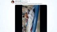 BJP MLA Nitesh Rane Tweets Another Video of Dead Body Bag Lying Next to Patients, Says This is From Mumbai's Rajawadi Hospital'