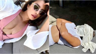 Priyanka Chopra Turns Her Gorgeous Picture in a Dusty Rose Monokini into an 'Expectation Vs Reality' Meme and It's Hilarious! (View Pic)
