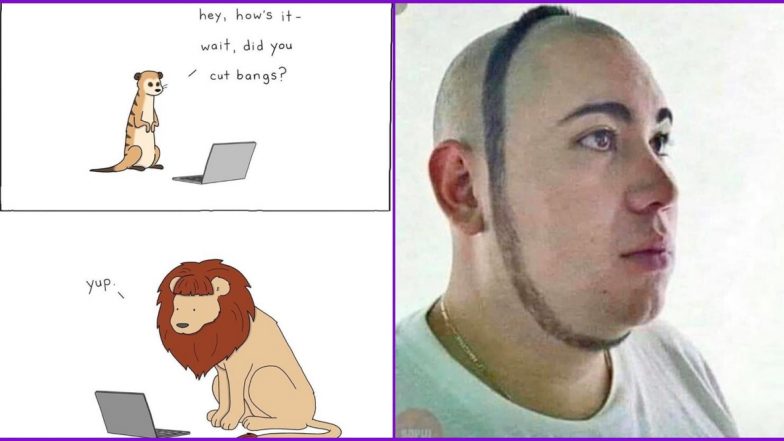 Quarantine Haircut Funny Memes and Videos: These Jokes and GIFs About Trimming Hair at Home While Social Distancing are Hilarious