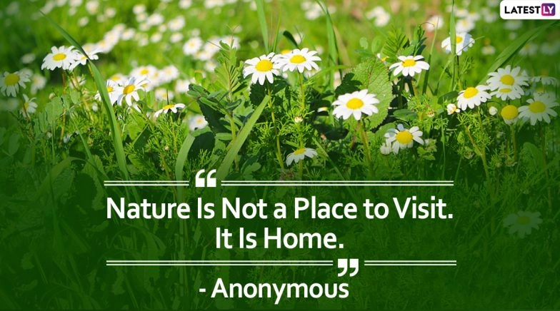 Greenery Day 2020 Quotes: Nature Sayings and Beautiful Images That You Can Share