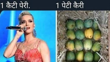 Riteish Deshmukh Shares a Funny Meme On Katy Perry and We Bet Desi Fans Will Relate To It!